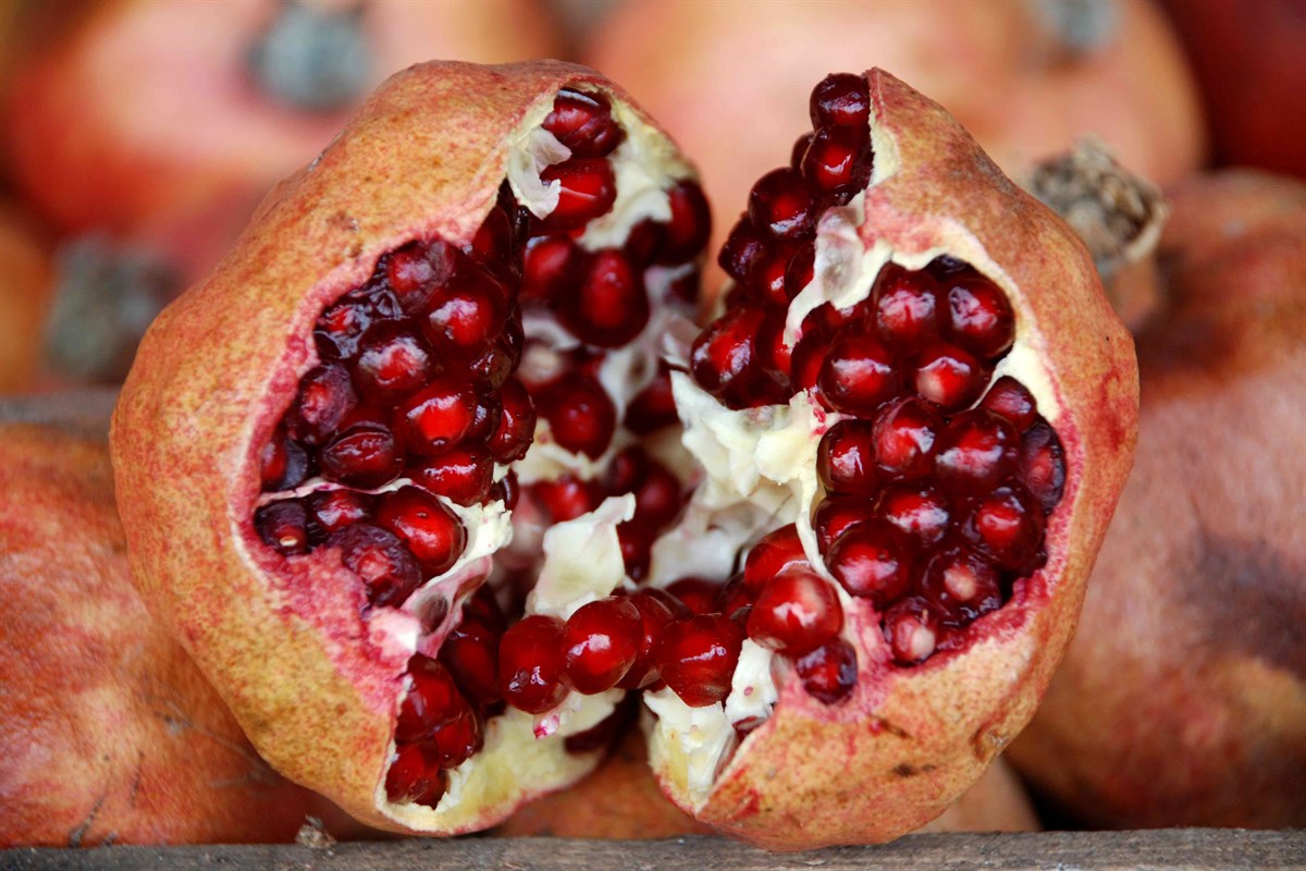 Zivzik Pomegranate